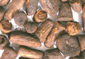 ROASTED CHICORY ROOT