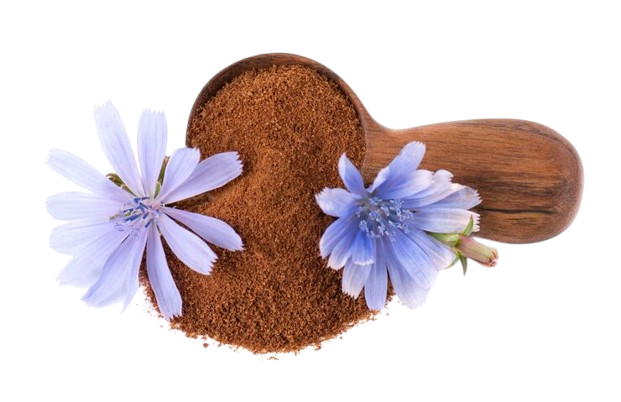 Foodking - Fast Food Restaurant WordPress Theme